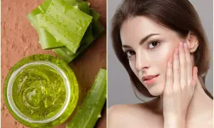 Gel di aloe vera e foglie fresche, per scoprire i benefici per la pelle.