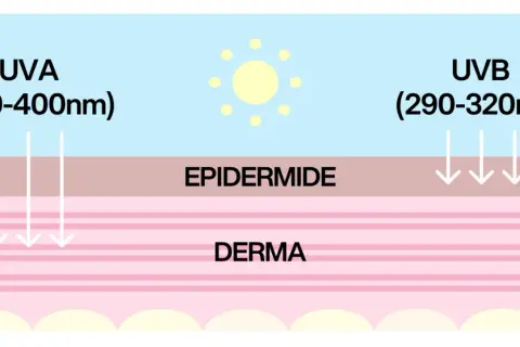 Raggi UVA e UVB penetrano nell'epidermide e nel derma, mostrando le diverse profondità di assorbimento.