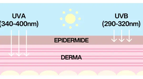 Raggi UVA e UVB penetrano nell'epidermide e nel derma, mostrando le diverse profondità di assorbimento.