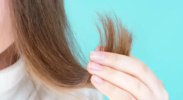 Mani che accarezzano capelli secchi, mostrando la necessità di burro di karitè sui capelli asciutti o bagnati per nutrirli.
