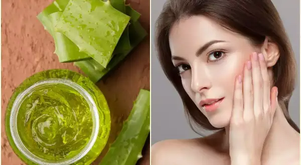 Gel di aloe vera e foglie fresche, per scoprire i benefici per la pelle.