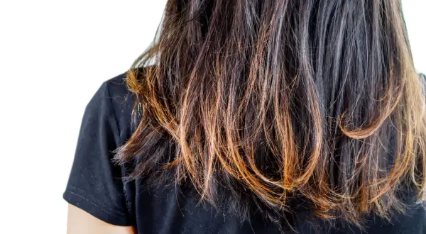 Capelli scuri con riflessi ramati, visibilmente secchi e con **capelli spezzati** alle punte, che necessitano di cure.