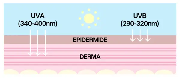 Raggi UVA e UVB penetrano nell'epidermide e nel derma, mostrando le diverse profondità di assorbimento.