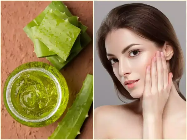 Gel di aloe vera e foglie fresche, per scoprire i benefici per la pelle.